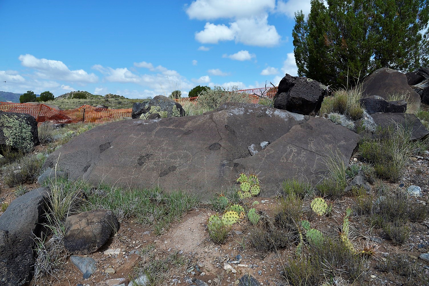 NMGC preserving a petroglyph site in Taos.